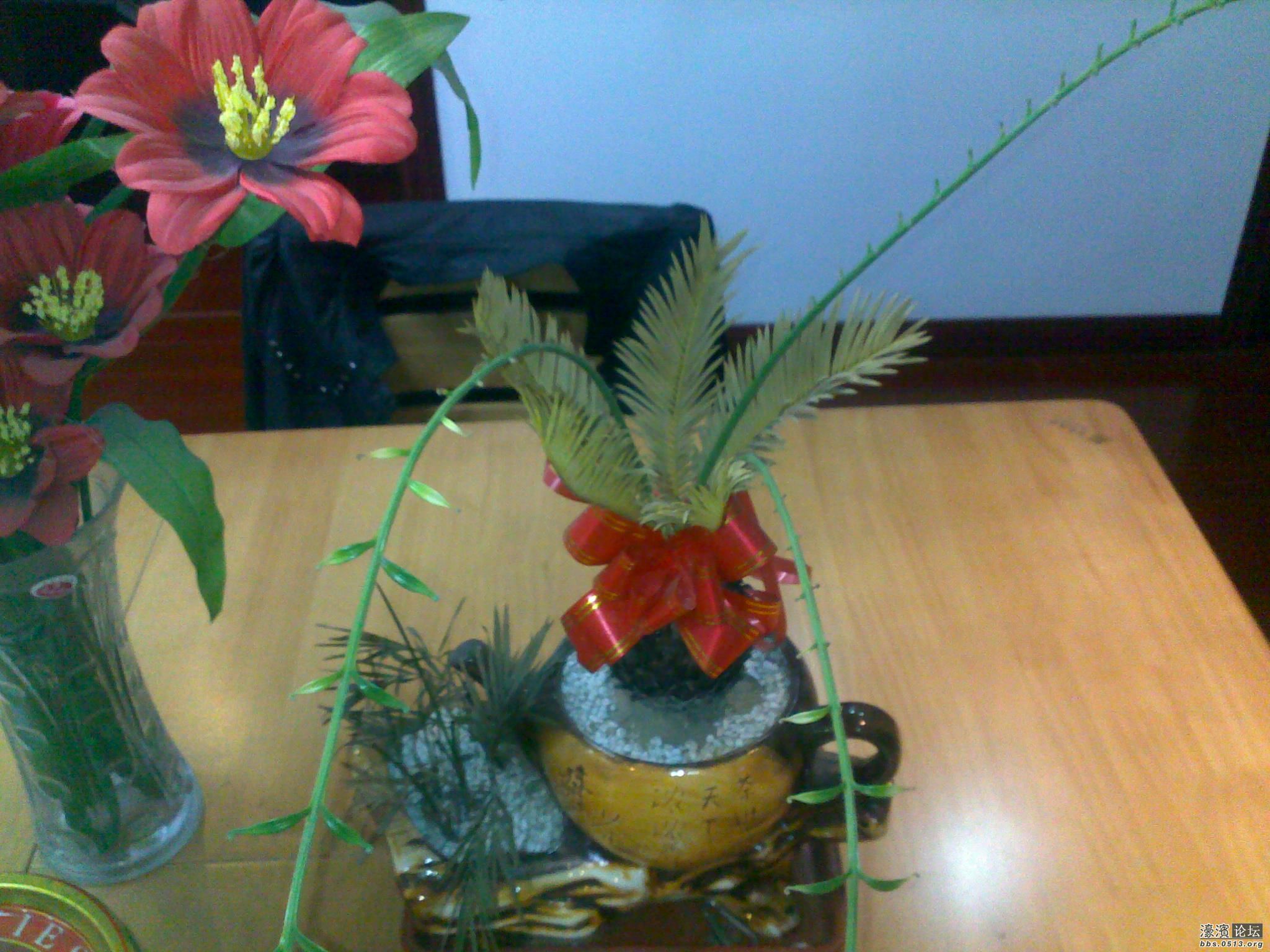 20121020482.jpg