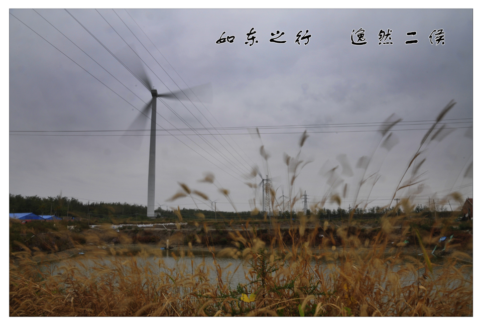 如东之行 (2).jpg