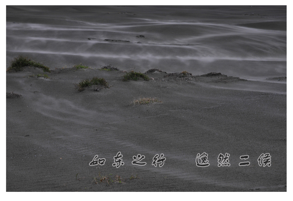 如东之行 (3).jpg