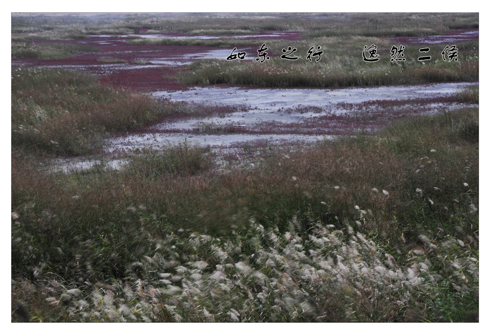 如东之行 (4).jpg