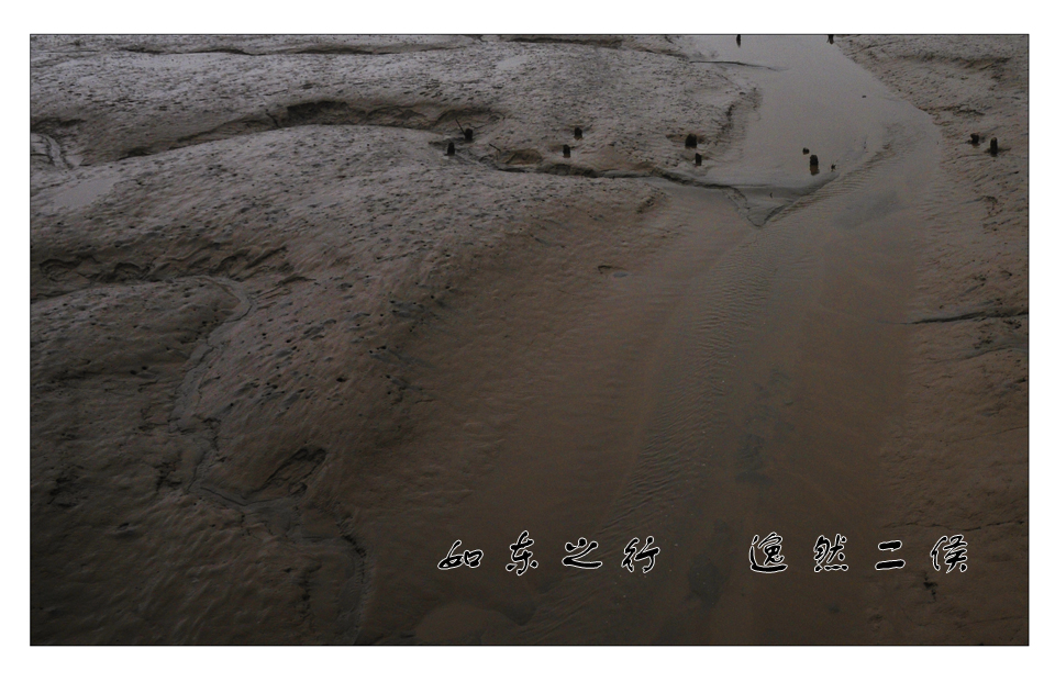 如东之行 (6).jpg