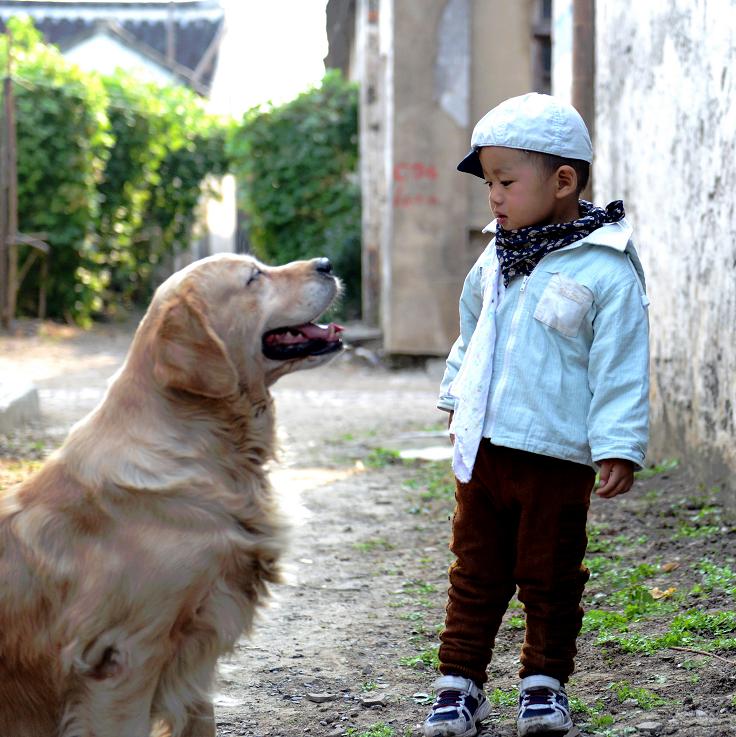 稚童与金毛2.jpg