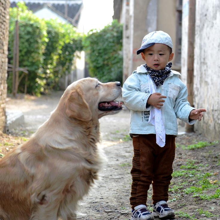 稚童与金毛3.jpg