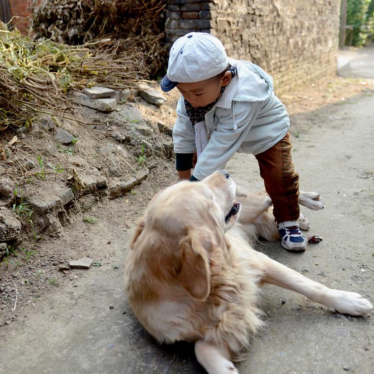 稚童与金毛6.jpg