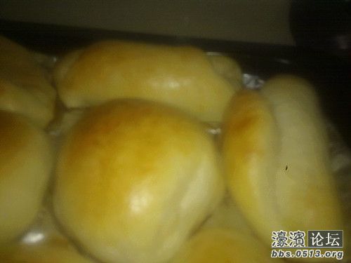 照片 003_副本.jpg