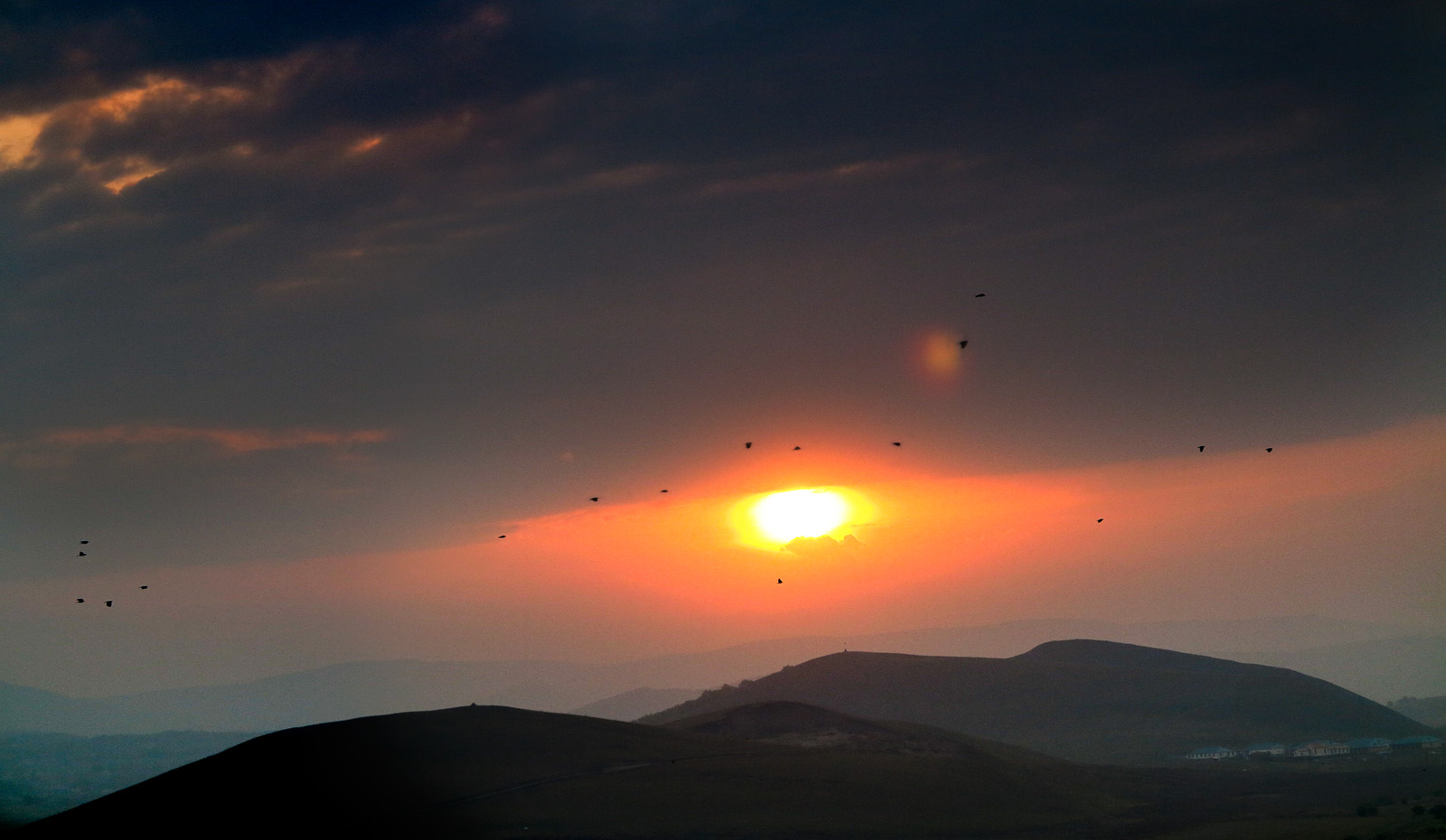 IMG_2427 2444(安琪作品).jpg