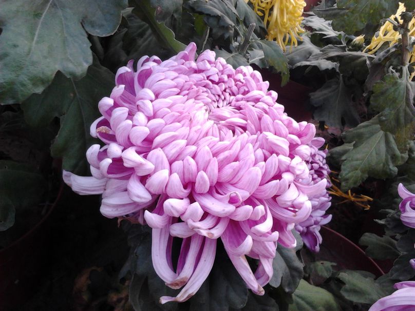 2012-11-01 15.41.54.jpg