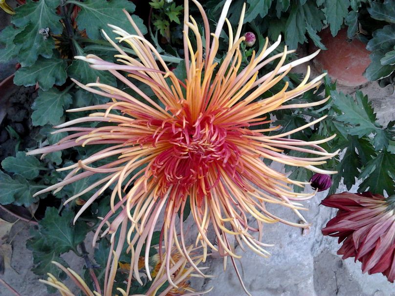 2012-11-01 15.45.09.jpg