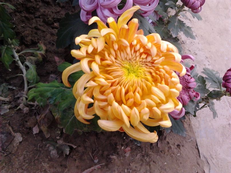 2012-11-01 15.42.05.jpg