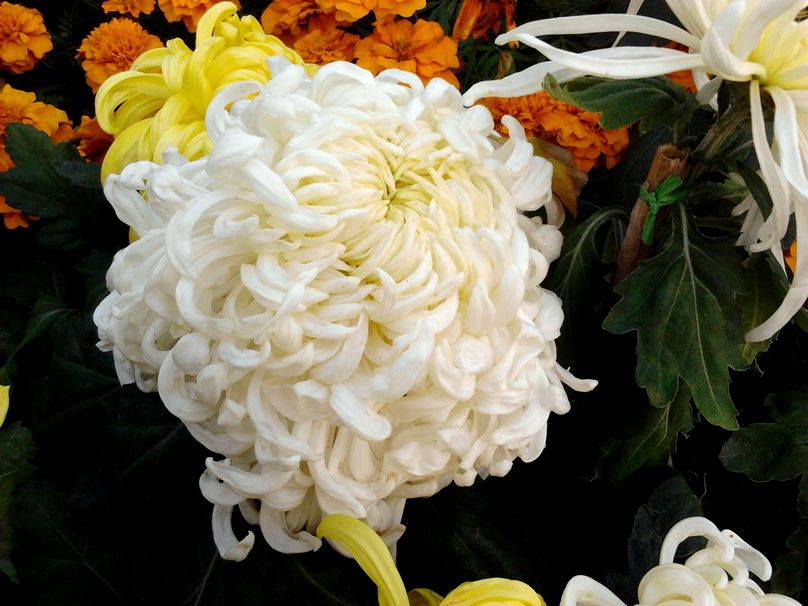 2012-11-01 15.44.34.jpg