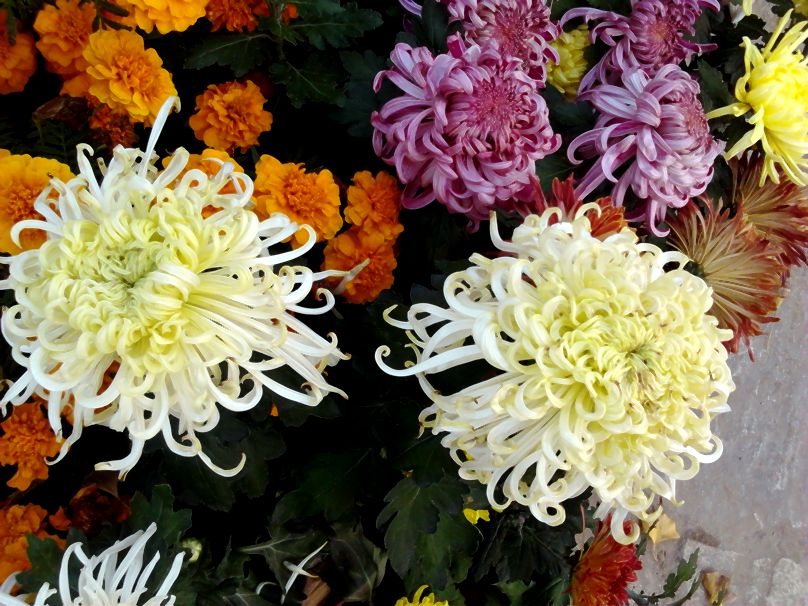 2012-11-01 15.44.48.jpg