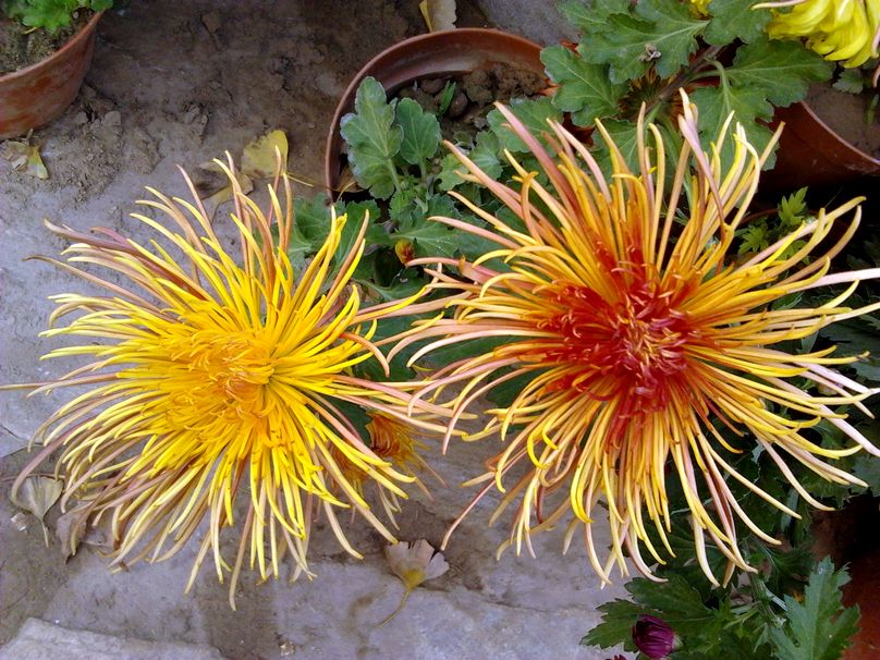 2012-11-01 15.44.59.jpg