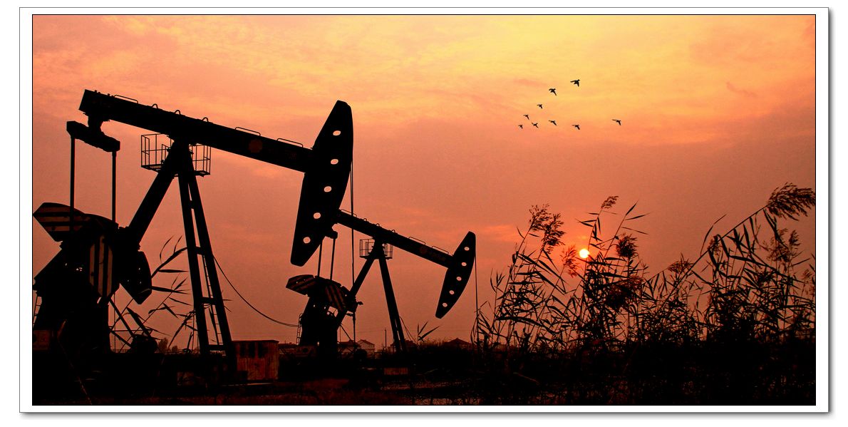 复件 油田秋色.jpg