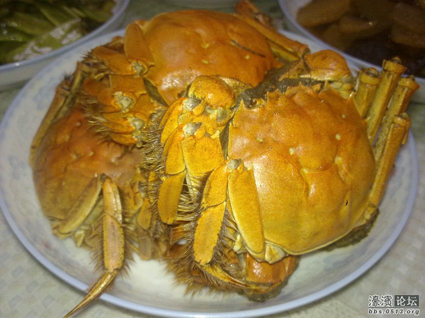 照片 012_副本.jpg