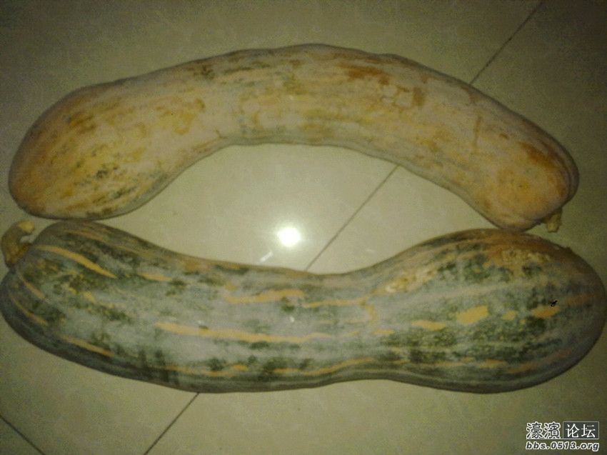 照片 001_副本.jpg