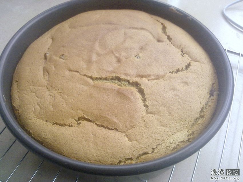 照片 015_副本.jpg