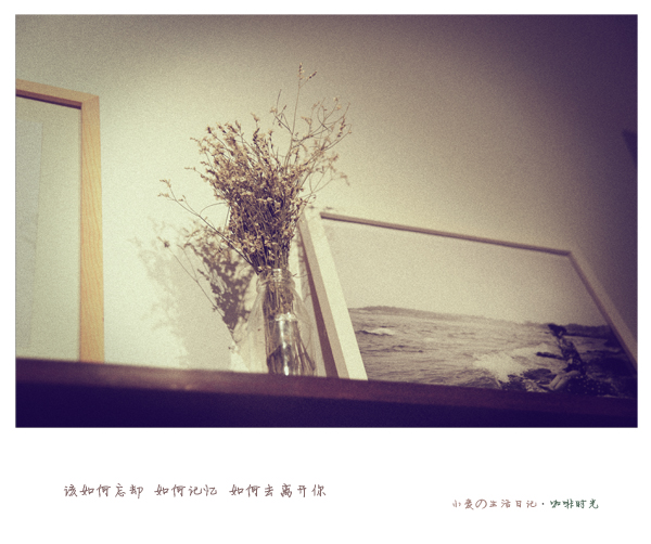 ACC_7753 副本5.jpg