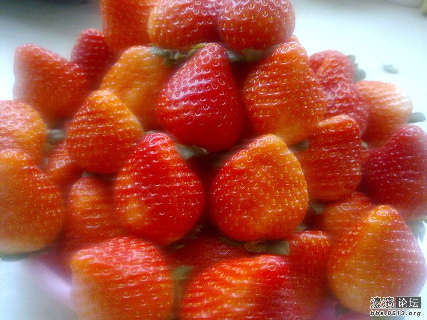 照片 032_副本.jpg