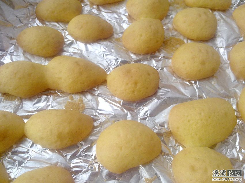 照片 012_副本.jpg