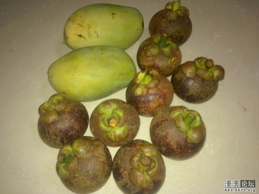 照片 011_副本.jpg