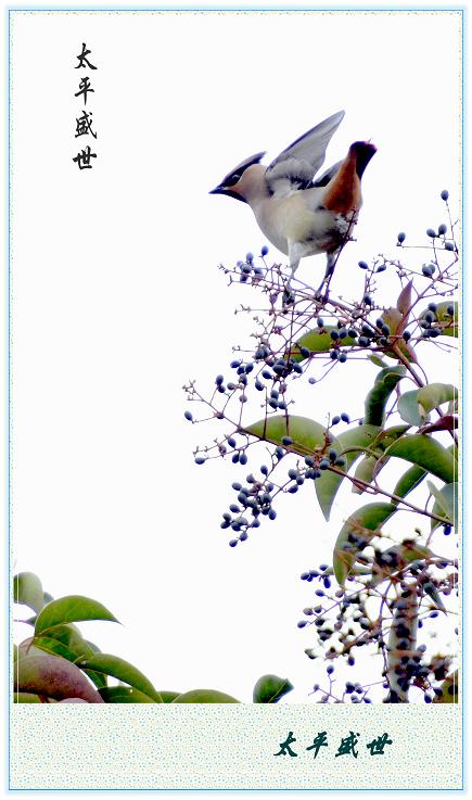 盛世太平（加边框）jpg.jpg