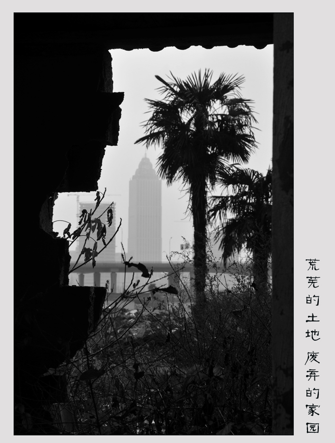 荒芜的土地 废弃的家园. (2).jpg