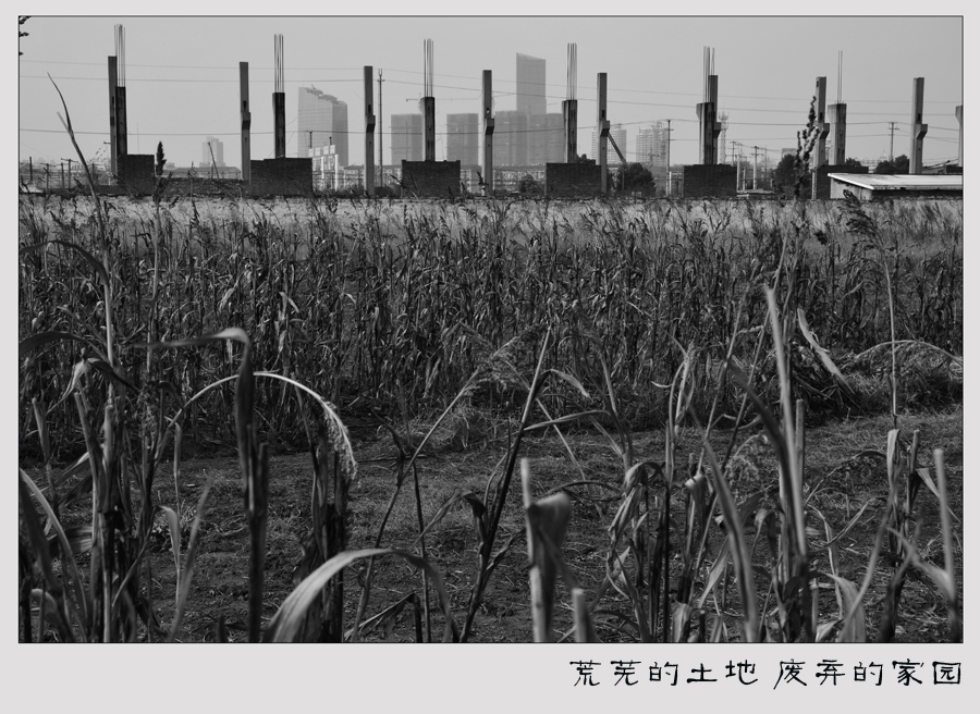 荒芜的土地 废弃的家园. (5).jpg