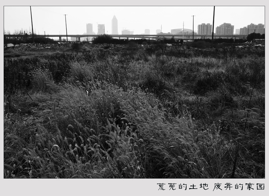 荒芜的土地 废弃的家园. (6).jpg