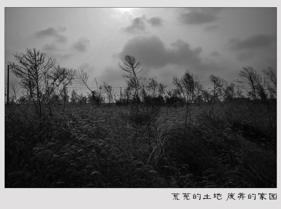 荒芜的土地 废弃的家园. (8).jpg