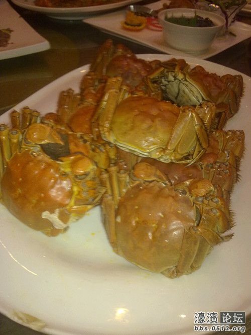 照片 072_副本.jpg