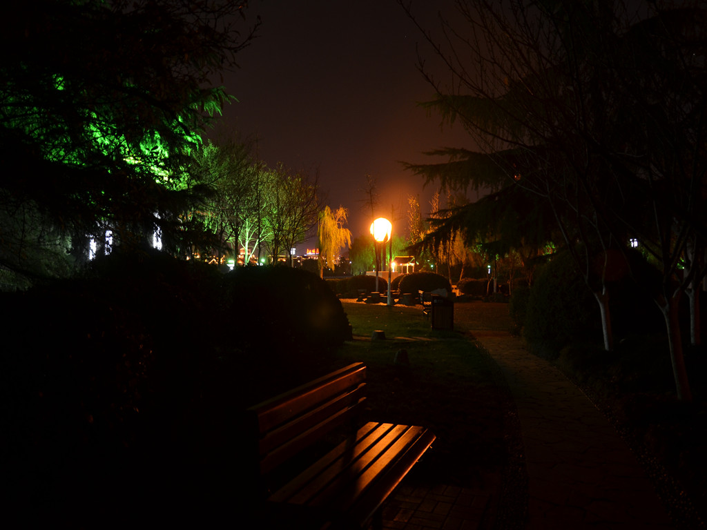 样片随拍 93453_副本.jpg