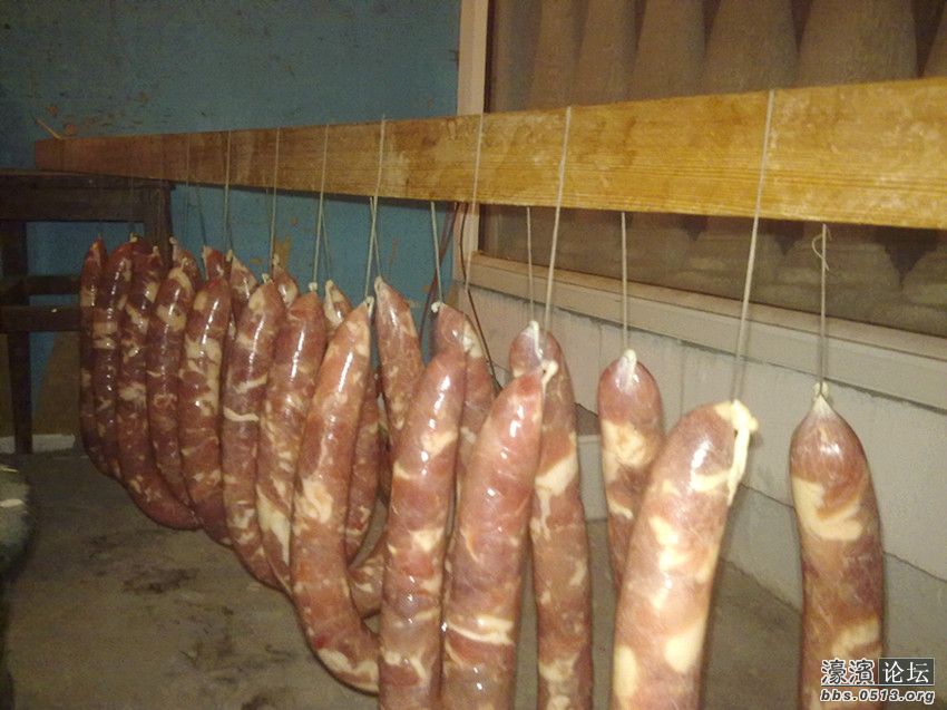 照片 017_副本.jpg