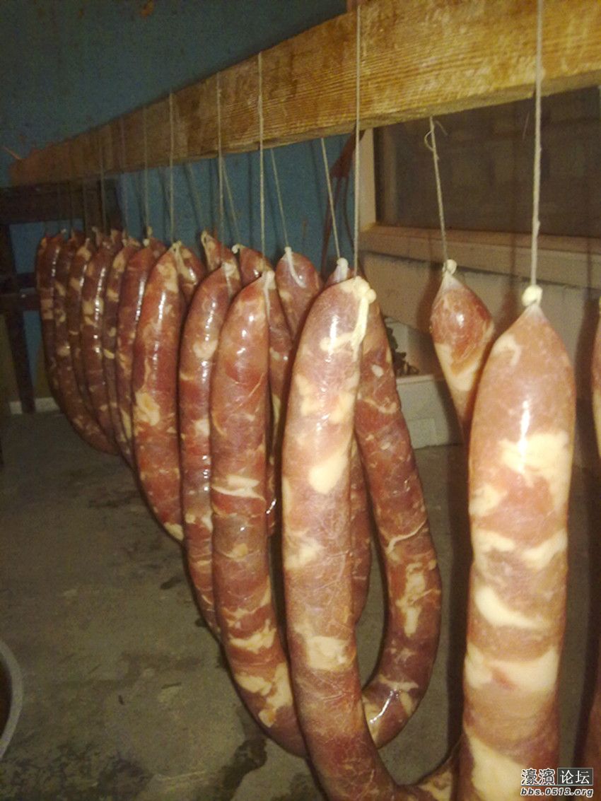 照片 019_副本.jpg