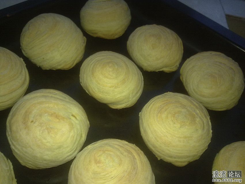 照片 055_副本.jpg