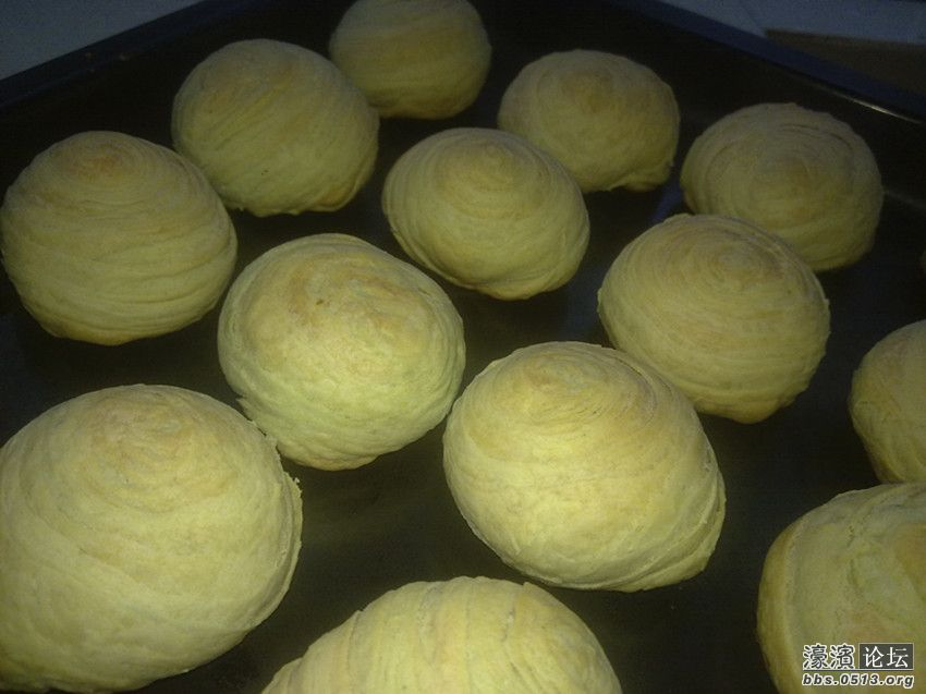 照片 056_副本.jpg