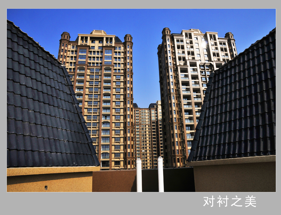对衬之美   钱伟章摄副本.jpg