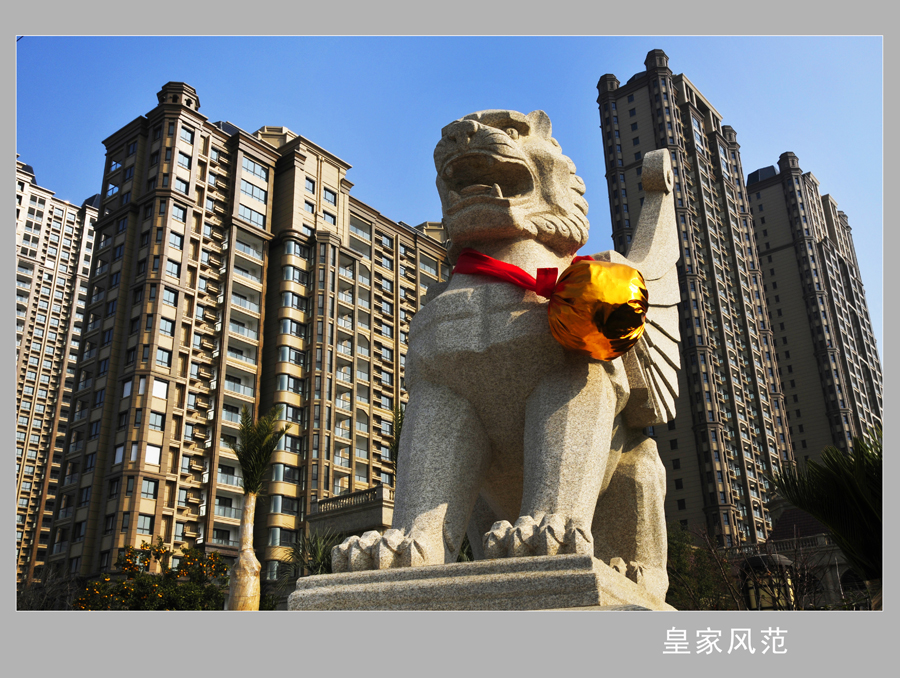 皇家风范   钱伟章摄副本.jpg