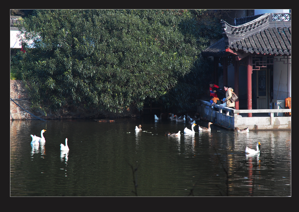 周六逢腊八，天气睛朗气温回升快 (5).jpg