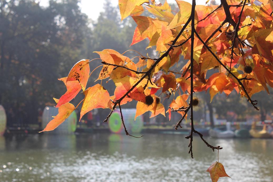 天平山、虎丘 031.jpg