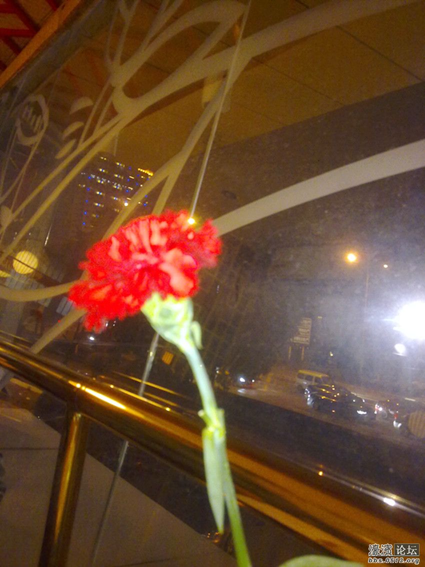 照片 001_副本.jpg