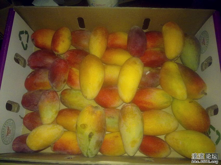 照片 003_副本.jpg