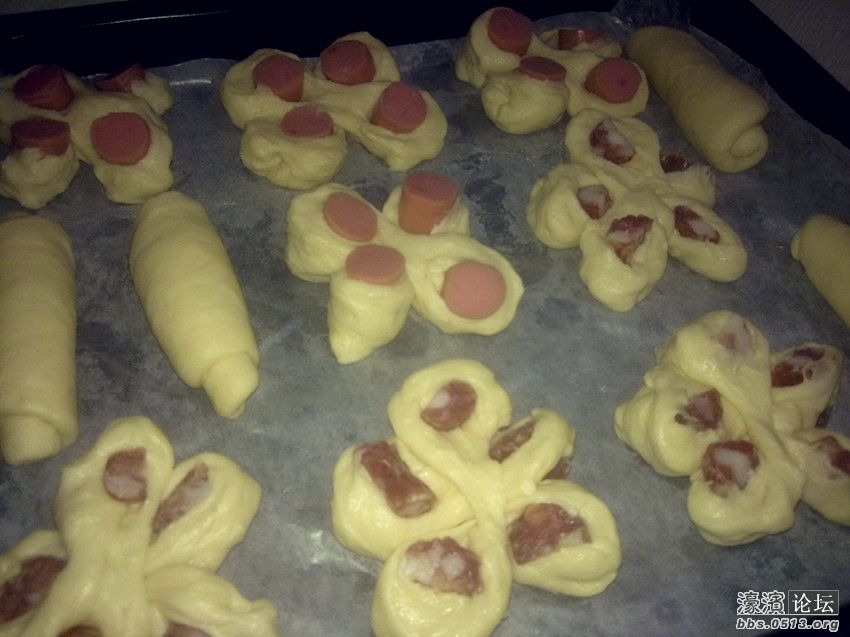 照片 010_副本.jpg