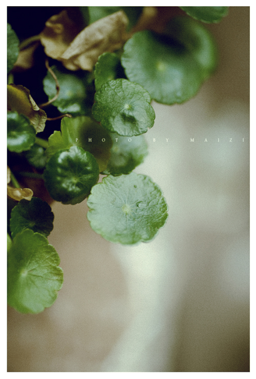 ACC_1666 副本2.JPG