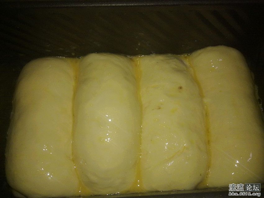 照片 021_副本.jpg