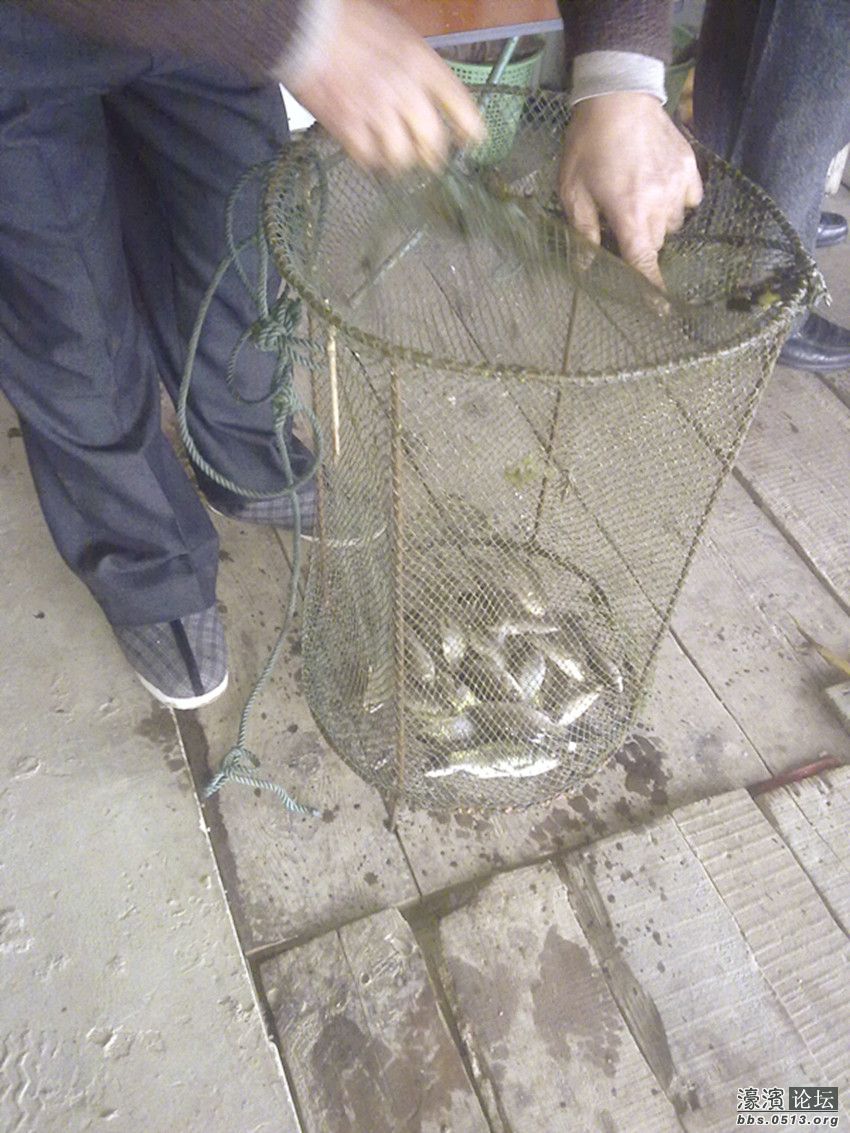 照片 008_副本.jpg