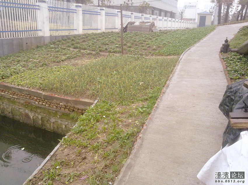 照片 017_副本.jpg