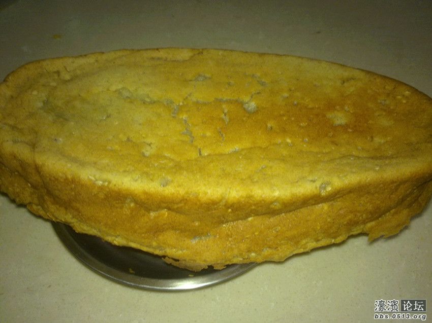 照片 008_副本.jpg