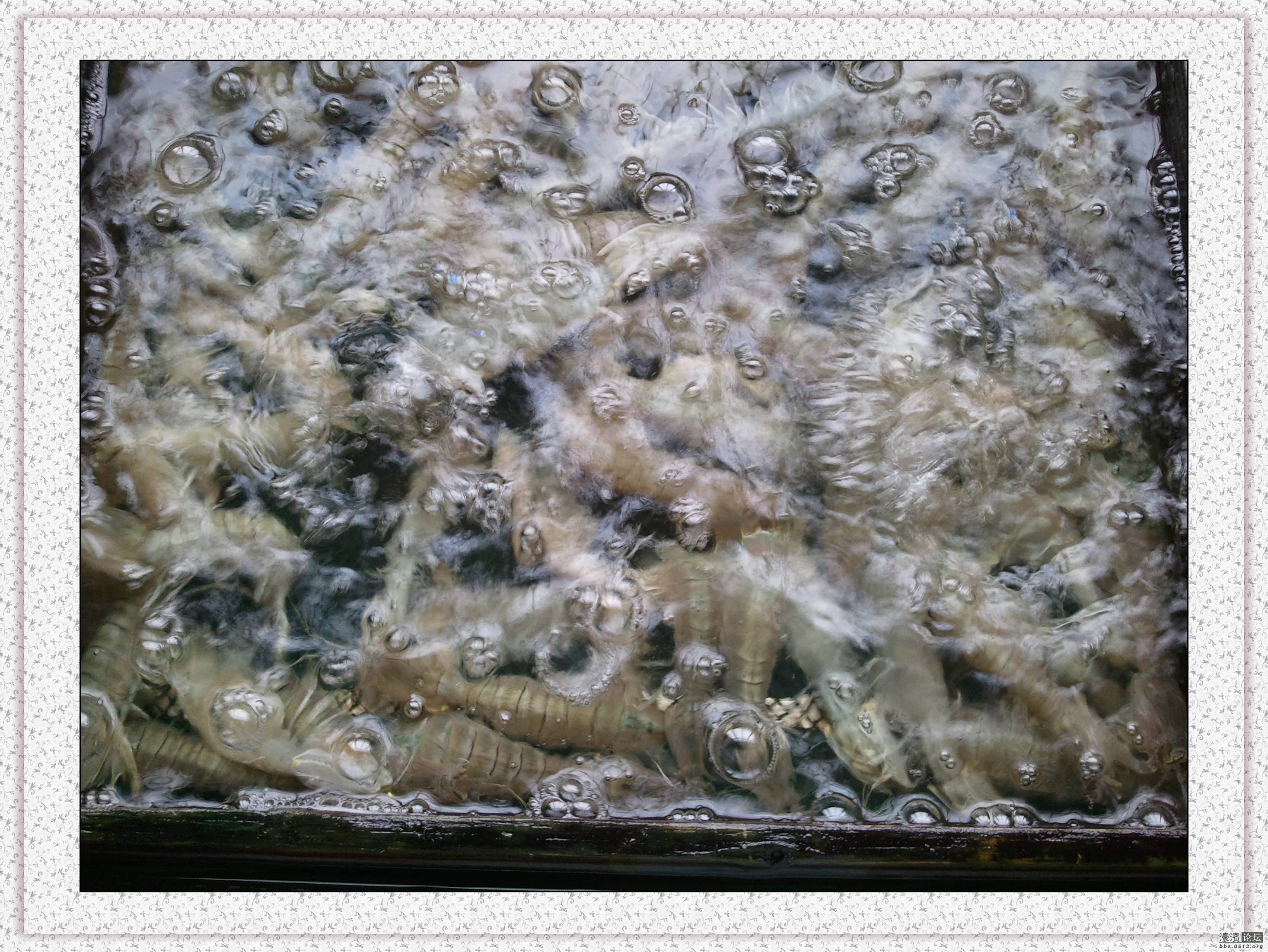 2013-03-01 11.10.42.jpg