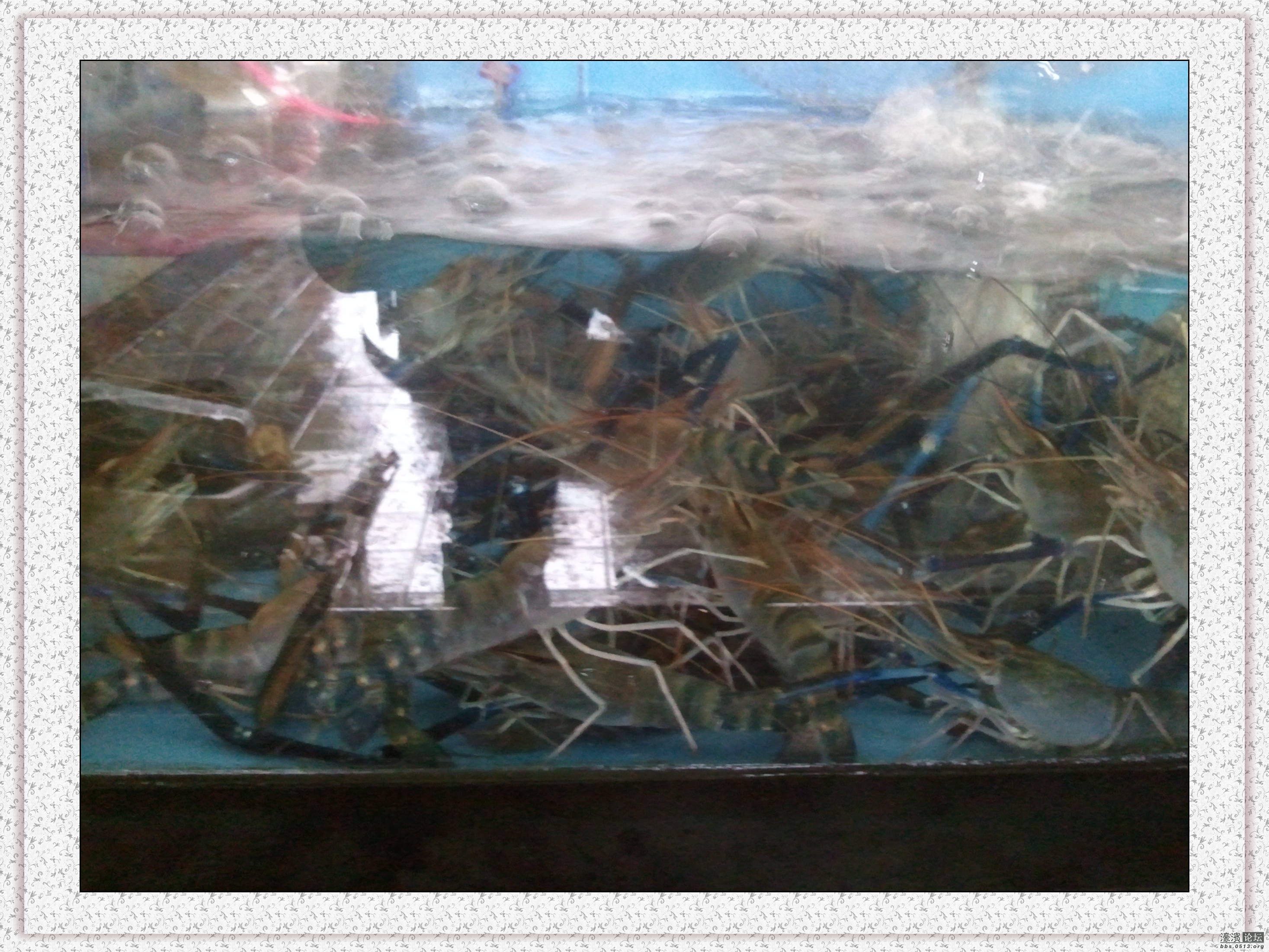 2013-03-01 11.20.24.jpg