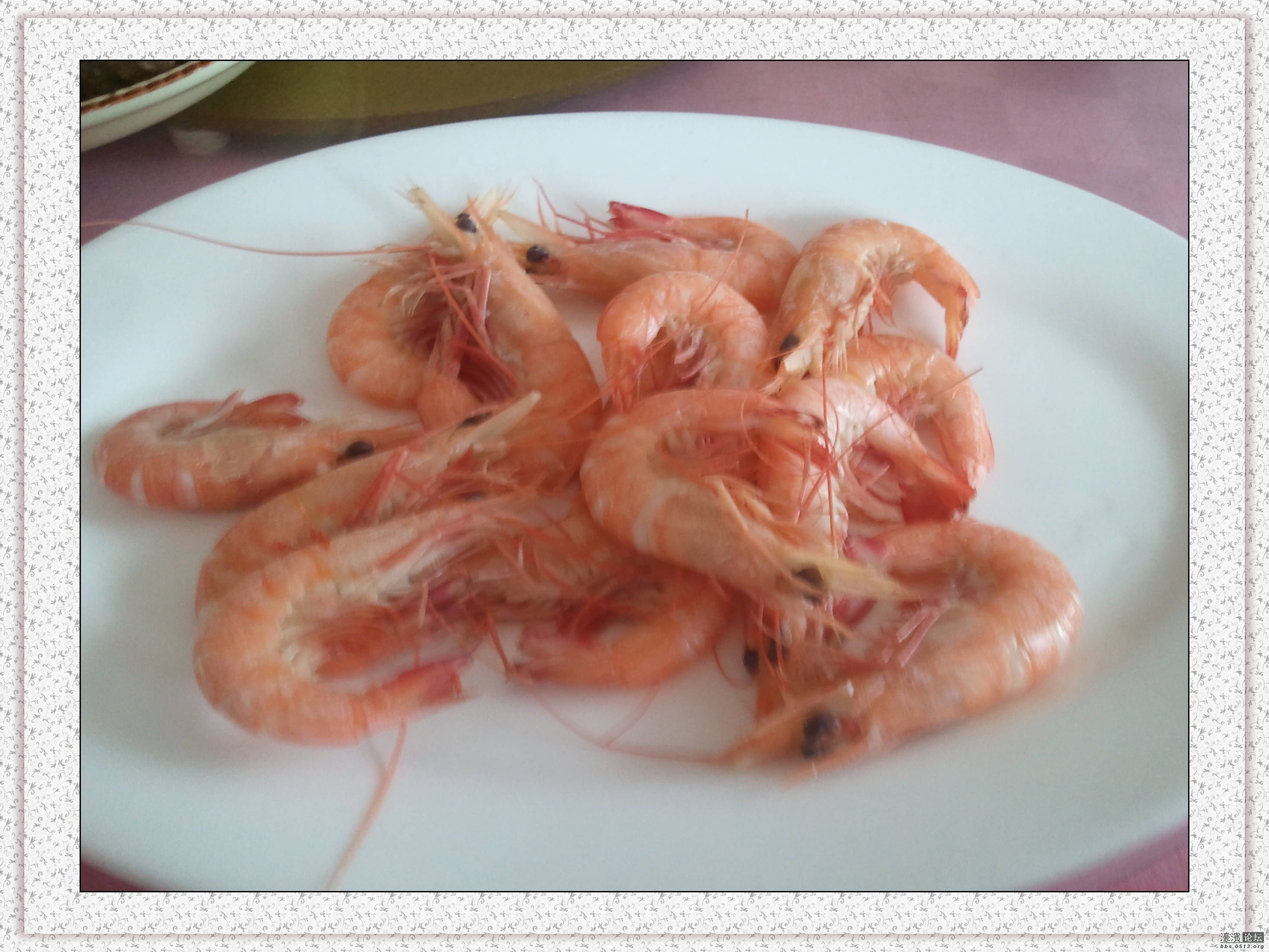 2013-03-01 11.24.49.jpg